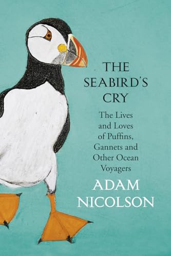 Seabirds Cry