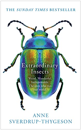 Extraordinary Insects: Weird Wonderful