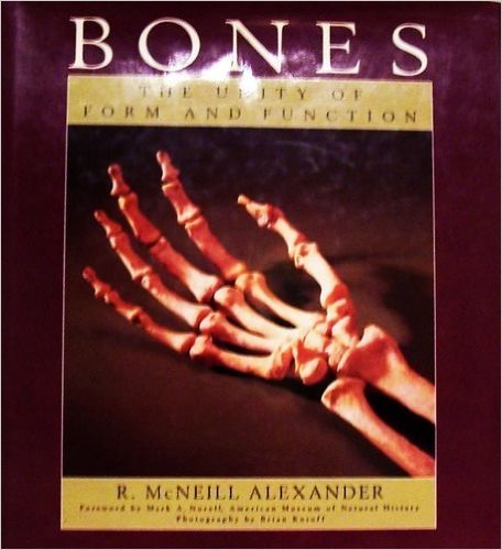 Bones: The Unity of Form and Function
