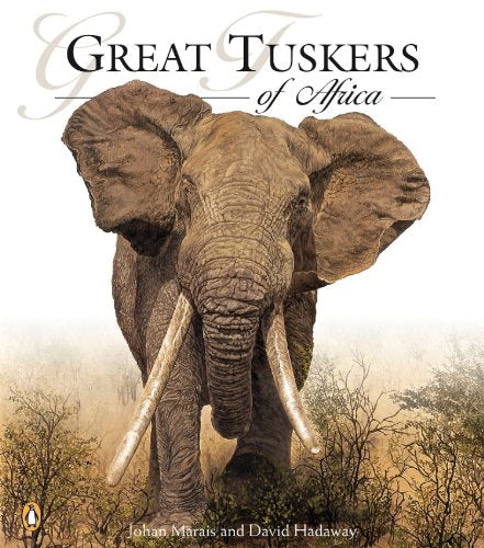 No Image Available