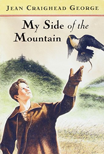 My Side of the Mountain Challenge Trade Book Grade 4: Harcourt School Publishers Storytown (Rdg Prgm 08/09/10 Wt)