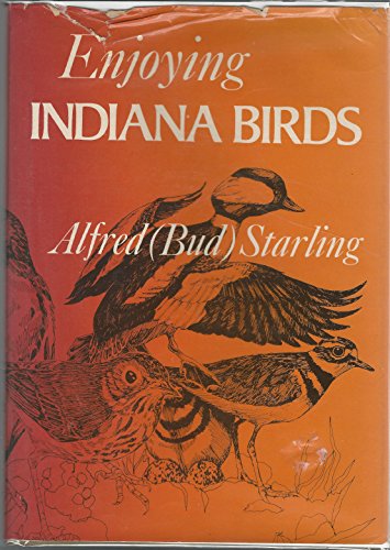 No Image Available