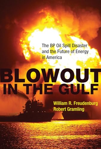 Blowout in the Gulf: The BP Oil Spill Disaster and the Future of Energy in America