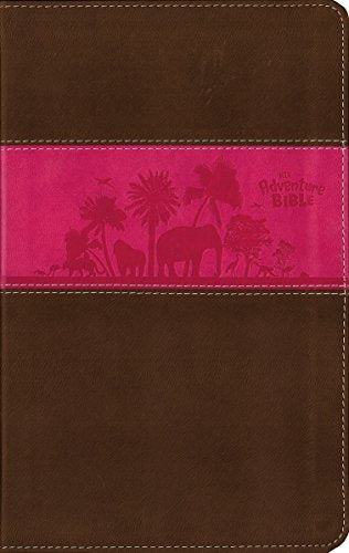 NIV, Adventure Bible, Imitation Leather, Pink/Brown, Full Color