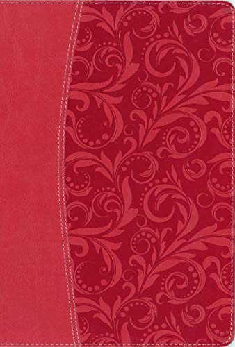NIV, Quest Study Bible, Leathersoft, Coral: The Question and Answer Bible