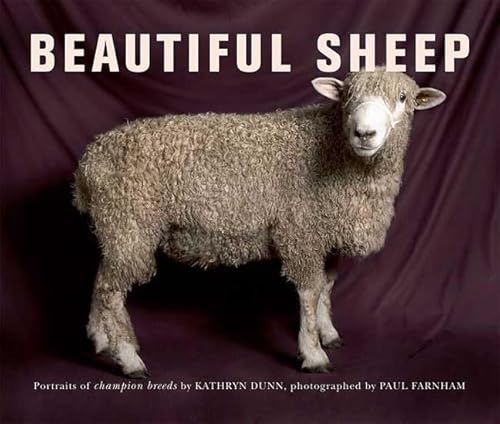 Beautiful Sheep: Portraits of Champion Breeds
