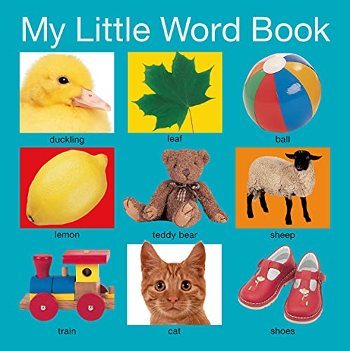 My Little Word Book (My Little Books)