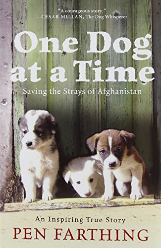 One Dog at a Time: Saving the Strays of Afghanistan