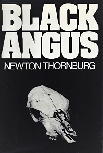 Black angus