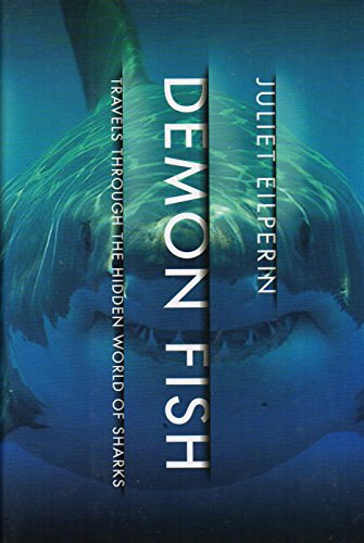 No Image Available