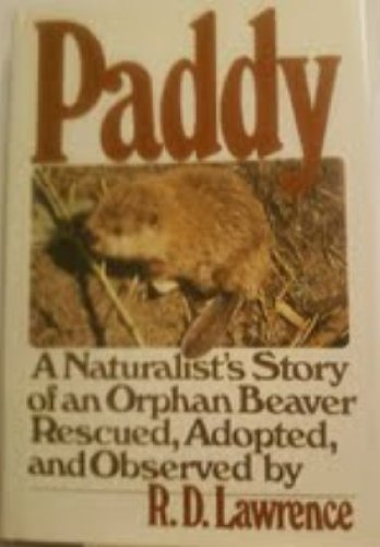 PADDY