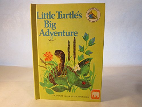 Little Turtle's Big Adventure
