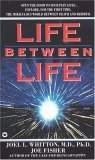 Life Between Life