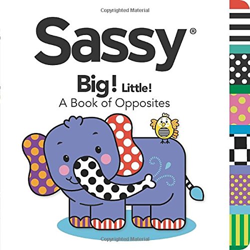 Big! Little!: A Book of Opposites (Sassy)