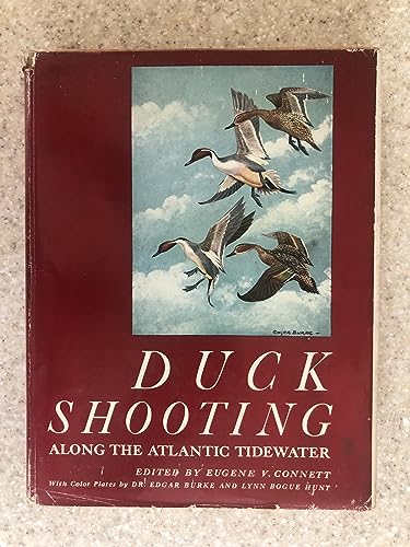 Duck Shooting Along the Atlantic Tidewater