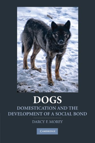 Dogs: Domestication and the Development of a Social Bond