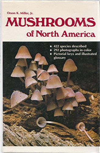 No Image Available