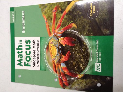 Math in Focus, Course 2: Enrichment Book