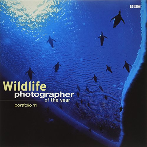Wildlife Photographer of the Year: Portfolio 11