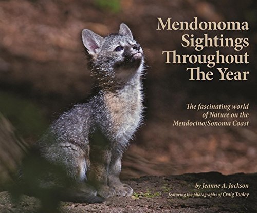 Mendonoma Sightings Throughout the Year: The Fascinating World of Nature on the Mendocino/Sonoma Coast