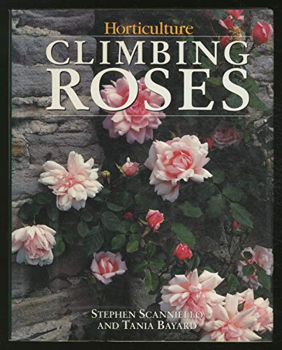 Climbing Roses