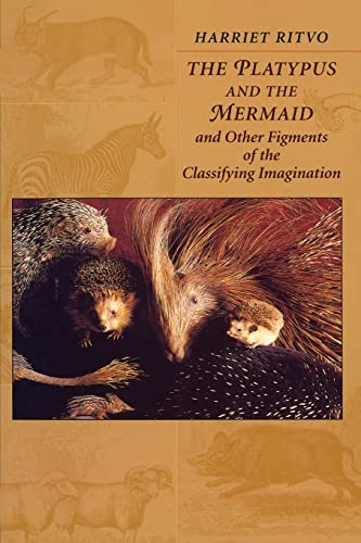 No Image Available