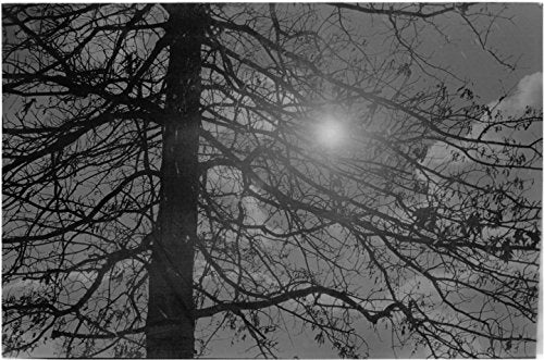 A Room with a View/Howards End (Modern Library)