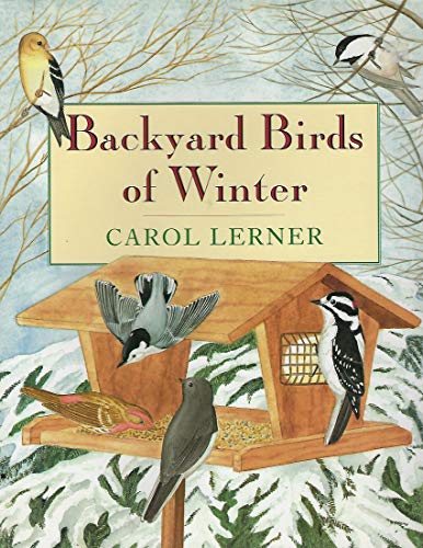 Backyard Birds of Winter