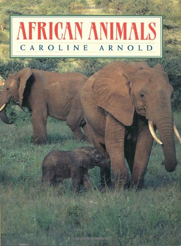 No Image Available