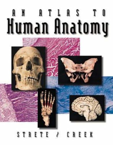 An Atlas To Human Anatomy by Strete/Creek