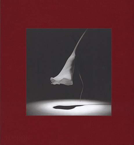 Mapplethorpe Flora: The Complete Flowers
