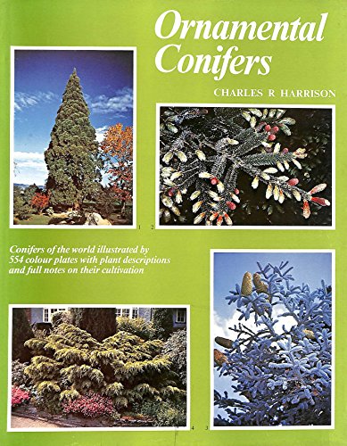 Ornamental Conifers