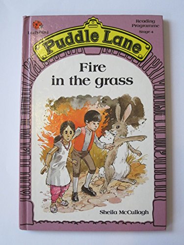 Fire in the Grass (Puddle Lane reading programme - stage 4)