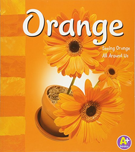 Orange: Seeing Orange All Around Us