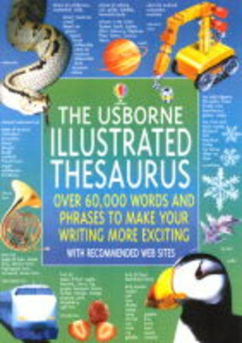 The Usborne Illustrated Thesaurus (Illustrated Dictionaries)