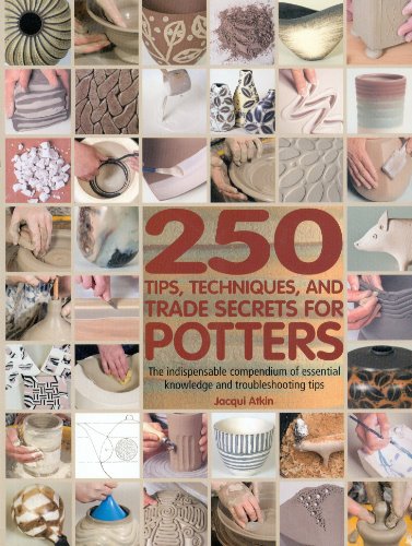 250 Tips, Techniques, and Trade Secrets for Potters