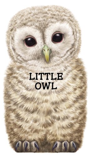 Little Owl (Look at Me Books)