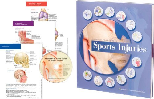 Anatomical Visual Guide to Sports Injuries