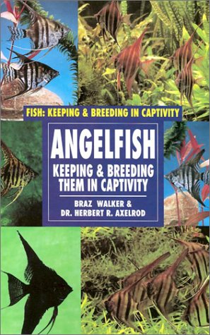 Angelfish: Keeping and Breeding Them in Captivity