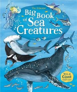 The Usborne Big Book of Sea Creatures
