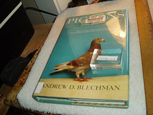 Pigeons: The Fascinating Saga of the World's Most Revered and Reviled Bird
