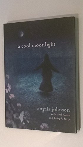 A Cool Moonlight