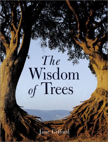 No Image Available