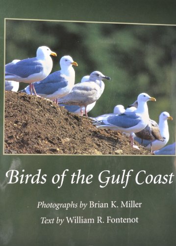 Birds of the Gulf Coast