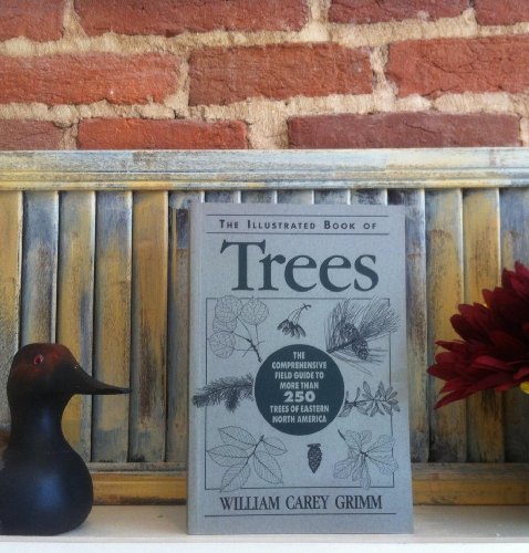 Illustrated Book of Trees