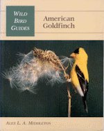 American Goldfinch (Wild Bird Guides)