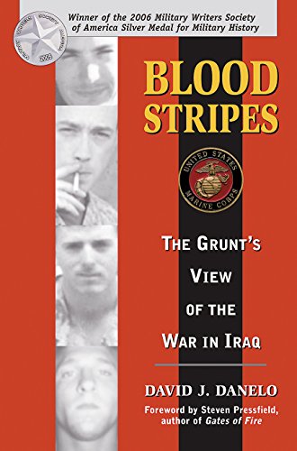 Blood Stripes: The Grunt's View of the War in Iraq