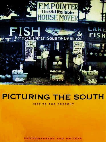 Picturing the South