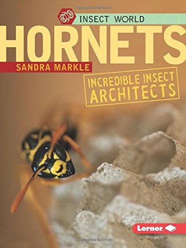 Hornets: Incredible Insect Architects (Insect World)