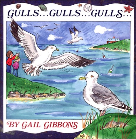 Gulls . . . Gulls . . . Gulls . . .